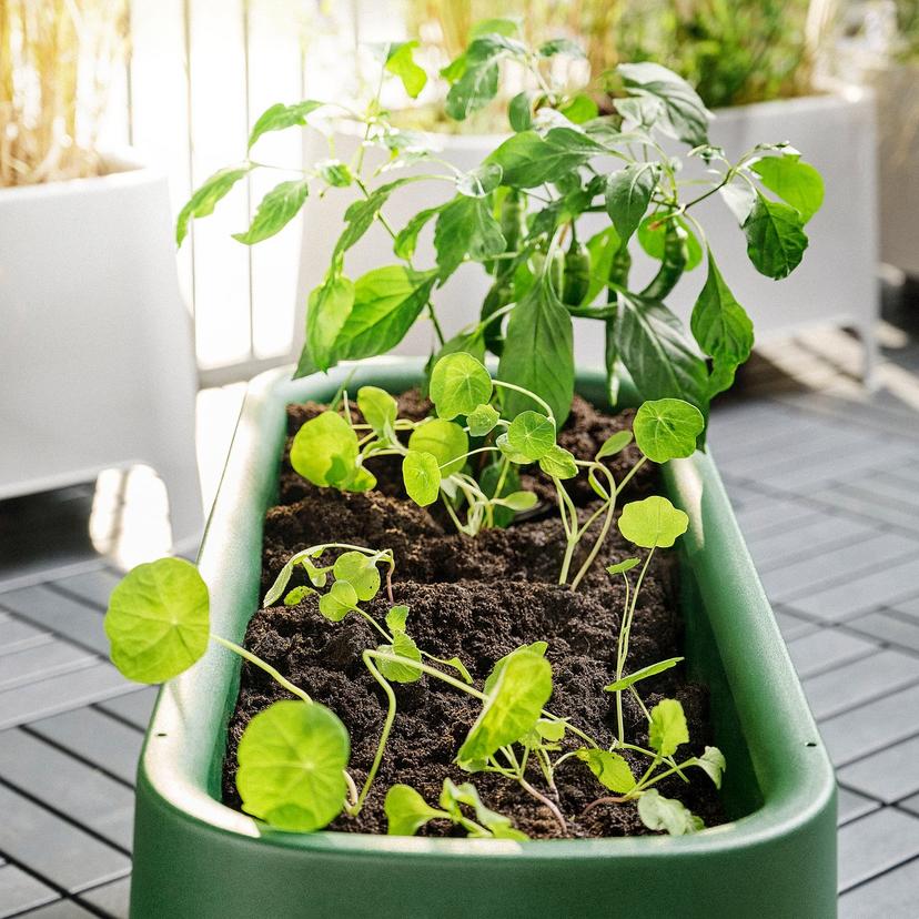 ASPAREN — кашпо, зеленый для сада, 89x38 см