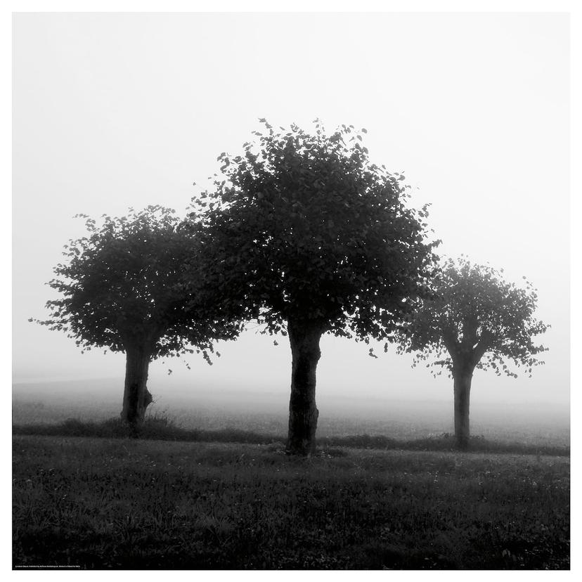 BILD — Картина, 50x50 см