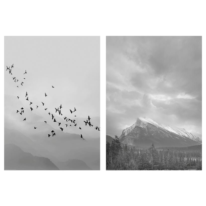 BILD — Картина, 50x70 см