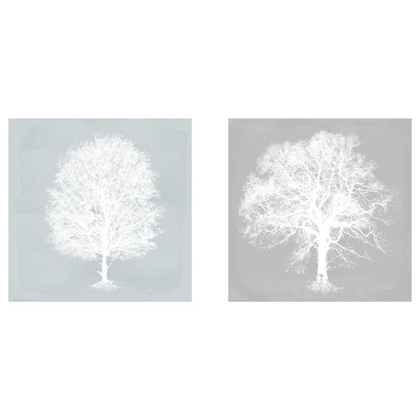 BILD — Картина, 50x50 см