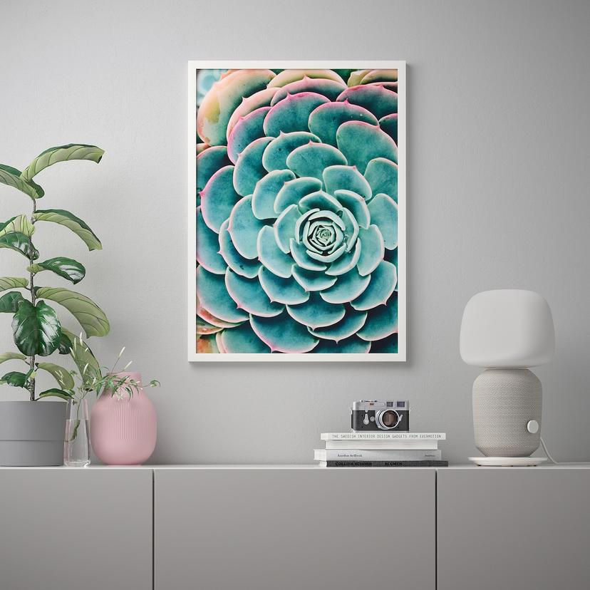 BILD — Картина, 50x70 см