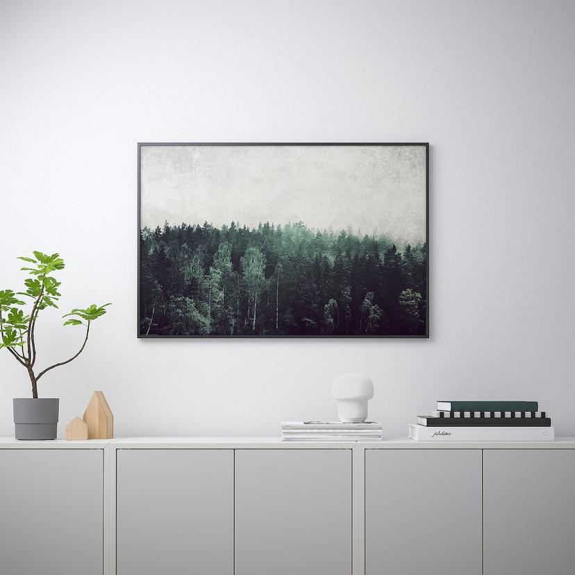 BILD — постер, Кроны деревьев, 91x61 см