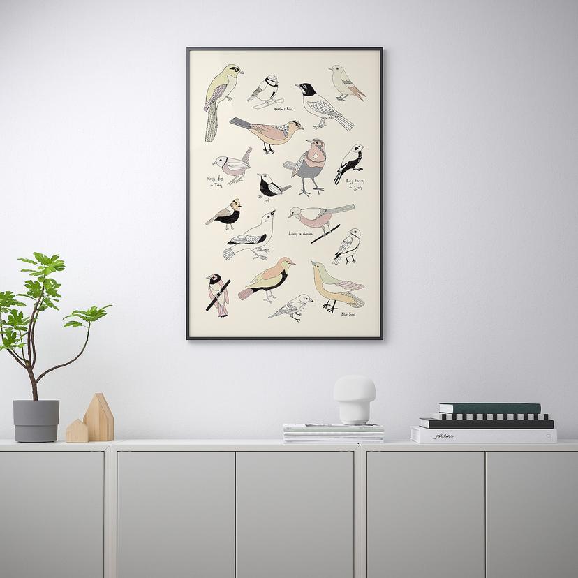 BILD — постер, Птицы, 61x91 см