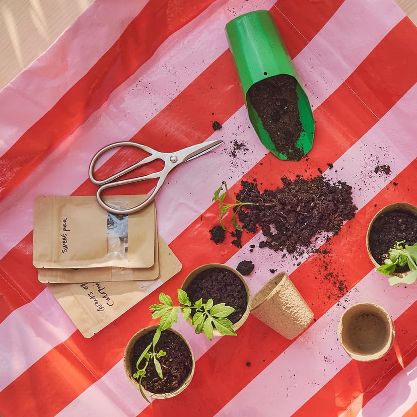 DOFTRIPS — Nabieraczka do ziemi, zielony, 