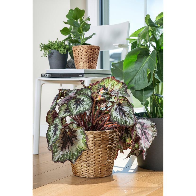 FRIDFULL — Osłonka doniczki, 19 см