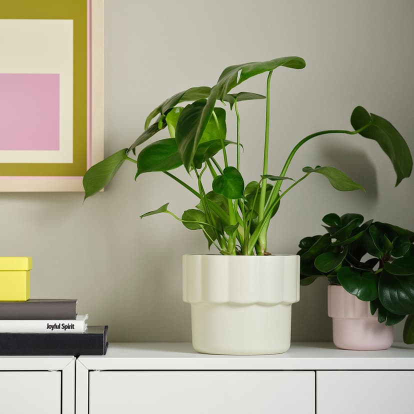 HÄNGSÄLG — Osłonka doniczki, kremowy, 