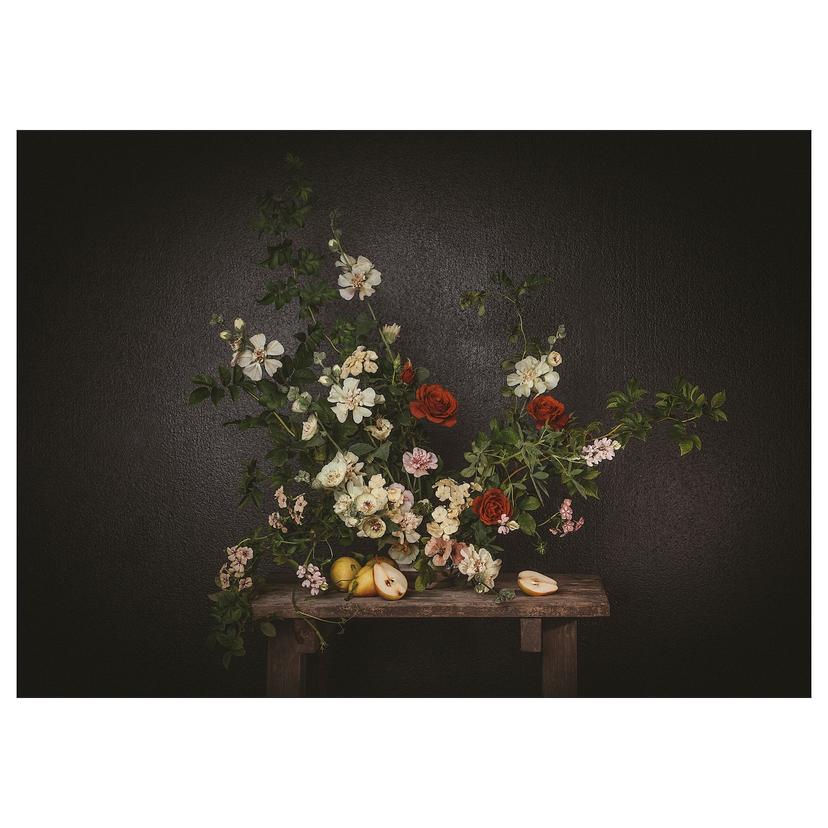 PJÄTTERYD — картина, Цветы на фоне черной стены, 70x50 см