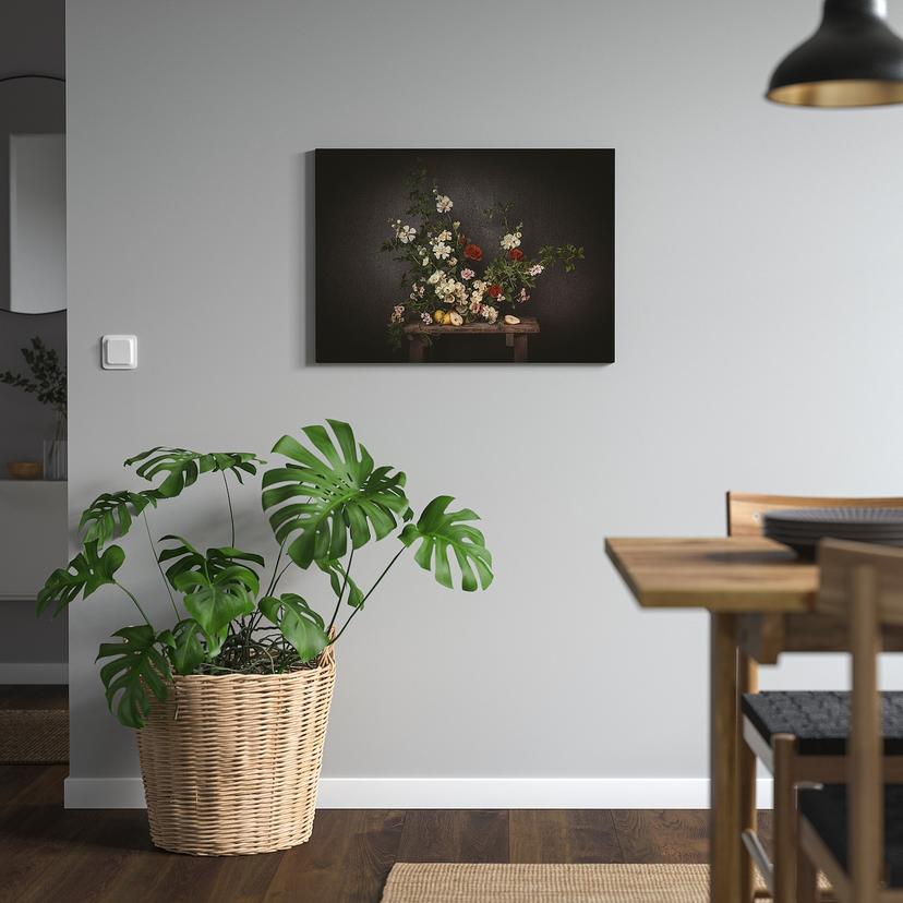 PJÄTTERYD — картина, Цветы на фоне черной стены, 70x50 см