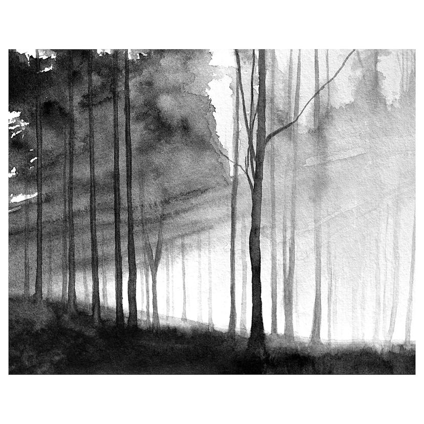 PJÄTTERYD — Картина, 50x40 см