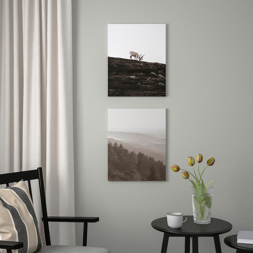 PJÄTTERYD — картина, Странствующий олень, 40x50 см