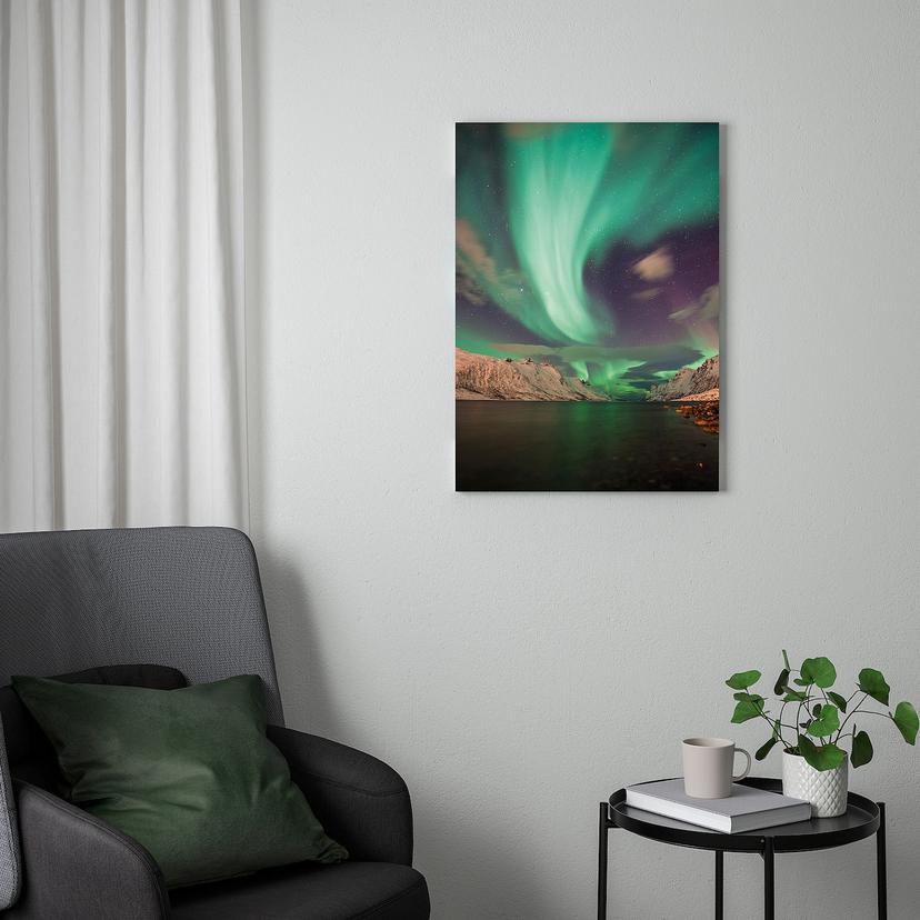 PJÄTTERYD — Картина, 50x70 см
