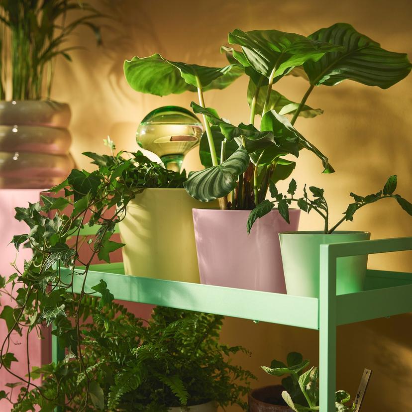 SOJABÖNA — кашпо, светло-розовый, 12 см