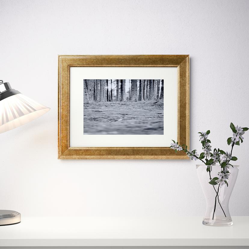 VIRSERUM — рама, золотой, 30x40 см