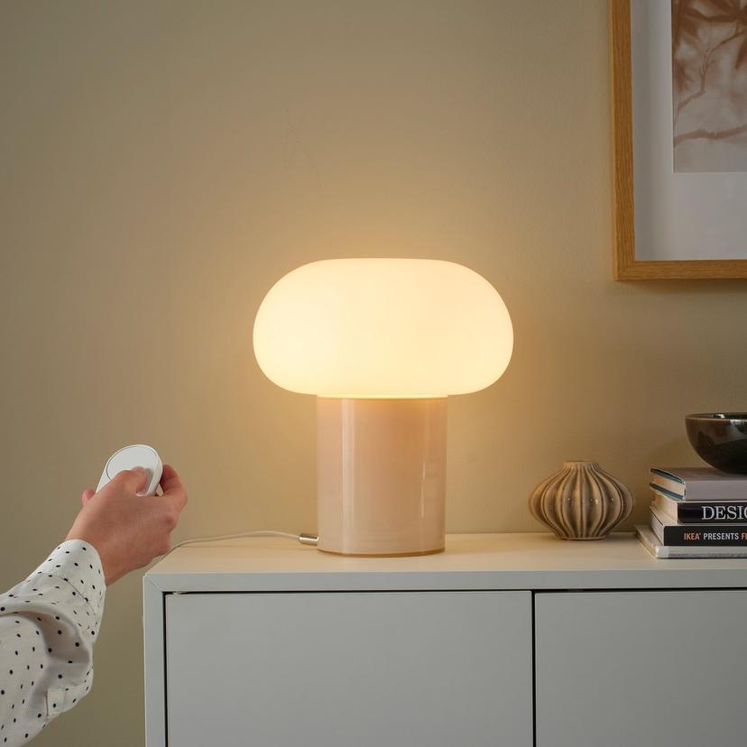 BILRESA — пульт дистанционного управления