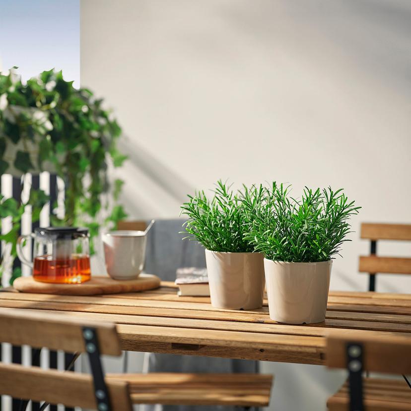 FEJKA — искусственное растение в горшке, д/дома/улицы/Розмарин, 9 см