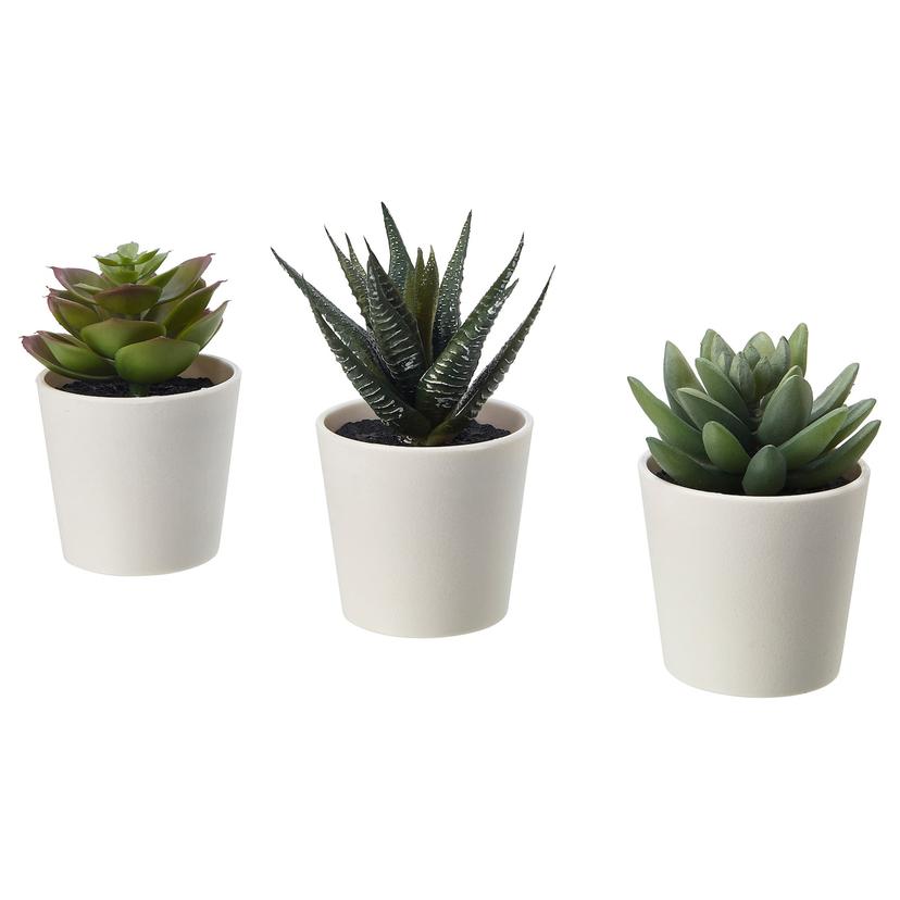 FEJKA — искусственное растение и кашпо, 6 см 3 pack