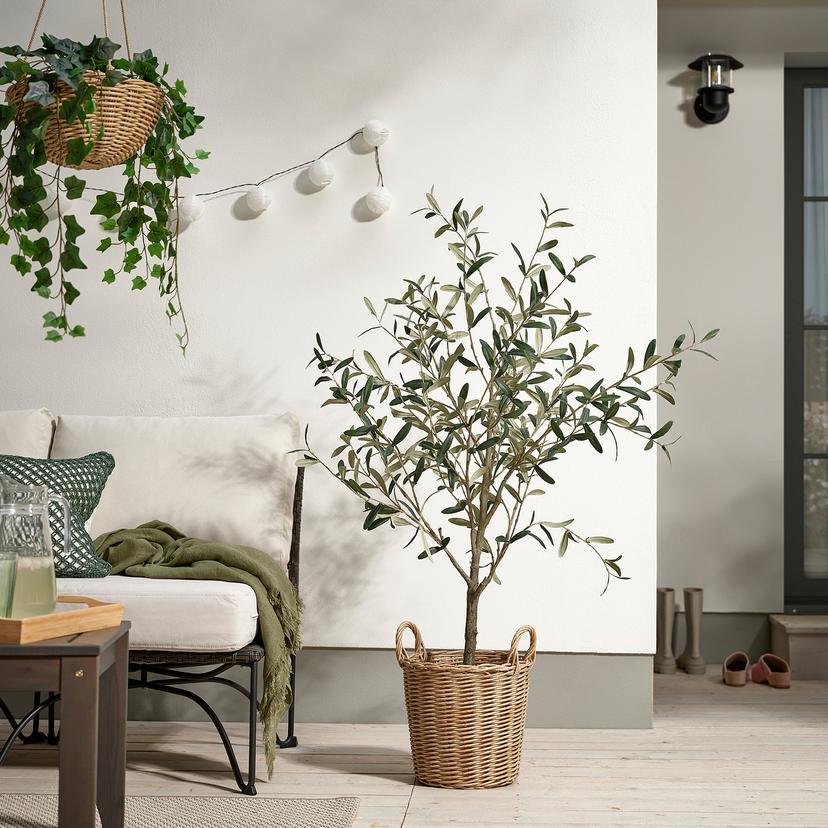 FLODBJÖRK — кашпо