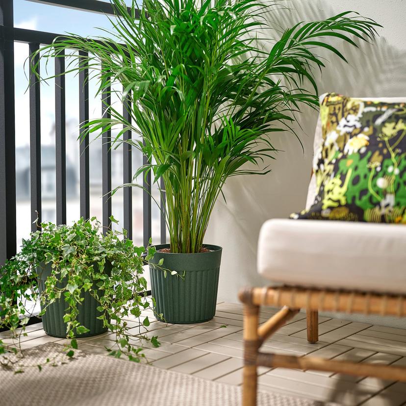 FRÄKENVÄXT — кашпо, д/дома/улицы/насыщенный зеленый, 24 см