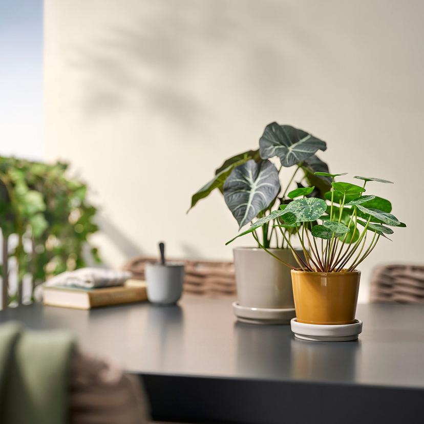 KLOTLÖNN — Цветочный горшок с поддоном, 9 см