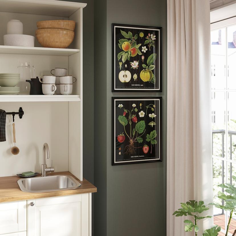 KNOPPÄNG — рама с постером, Винтажные изображения фруктов, 40x50 см