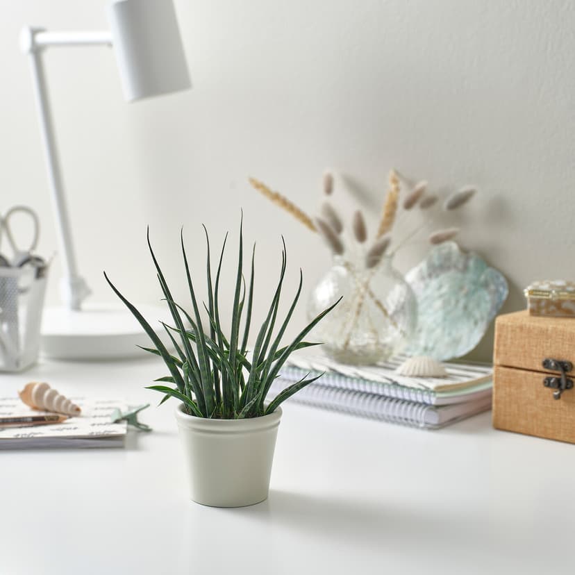 KÖRSBÄRSBJÖRK — Крышка для цветочного горшка, светло-серо-бежевая.