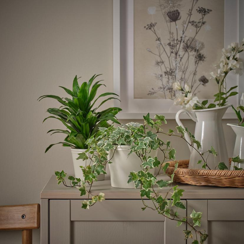 KÖRSBÄRSBJÖRK — кашпо, светло-серый/бежевый, 12 см