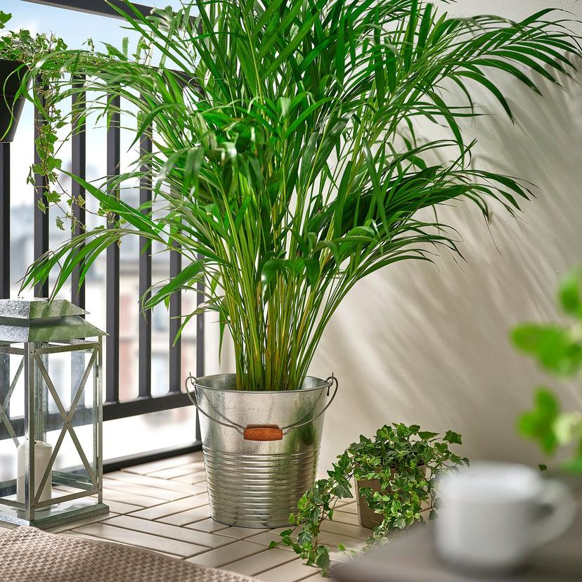 KORKGRAN — ведро/горшок, д/дома/улицы/оцинковка, 10 л