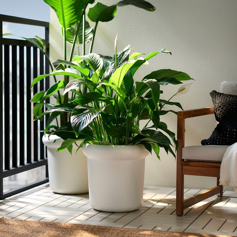 MÅBÄRSBUSKE — горшок цветочный