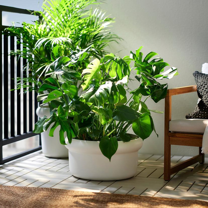 MÅBÄRSBUSKE — горшок цветочный