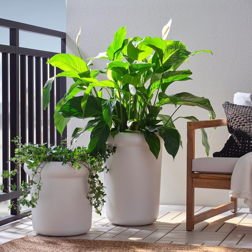 MÅBÄRSBUSKE — горшок цветочный