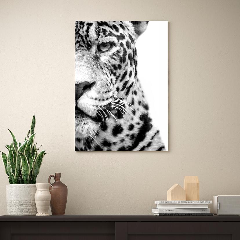 PJÄTTERYD — картина, В свете софитов, 50x70 см