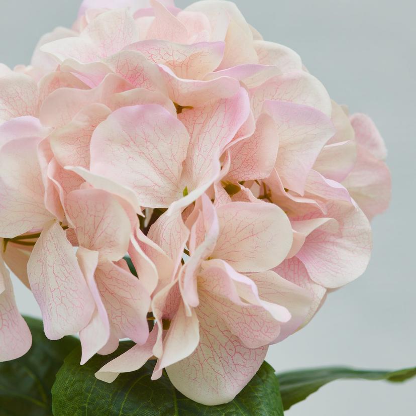 SMYCKA — Sztuczny kwiat, do wewnątrz/na zewnątrz/hortensja różowy,