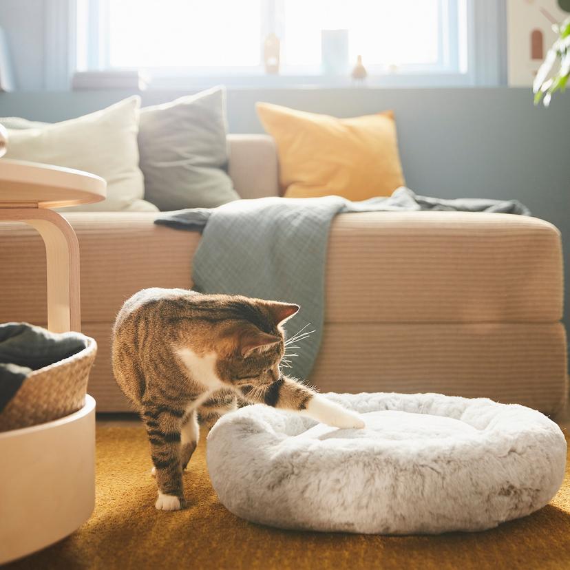 UTSÅDD — кроватка для домашнего питомца, светло-серый, S