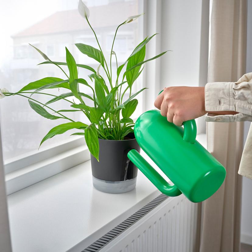 VÅRDTRÄD — горшок с самополивом, д/дома/улицы прозрачный/антрацит, 12 см