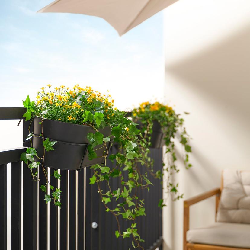 VITLÖK — ящик для цветов с держ, д/дома/улицы/антрацит, 56x20 см